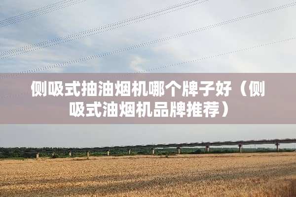 侧吸式抽油烟机哪个牌子好（侧吸式油烟机品牌推荐）