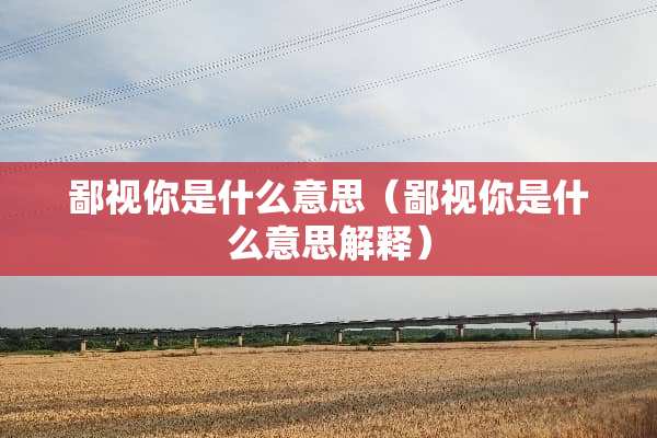 鄙视你是什么意思（鄙视你是什么意思解释）