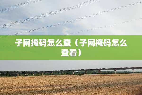 子网掩码怎么查（子网掩码怎么查看）