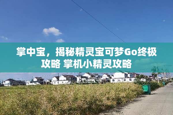 掌中宝，揭秘精灵宝可梦Go终极攻略 掌机小精灵攻略
