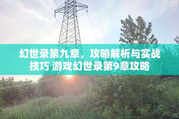 幻世录第九章，攻略解析与实战技巧 游戏幻世录第9章攻略