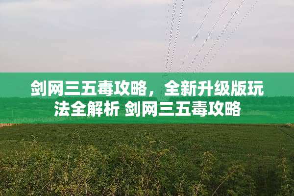 剑网三五毒攻略，全新升级版玩法全解析 剑网三五毒攻略
