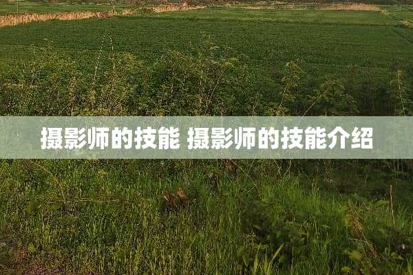 摄影师的技能 摄影师的技能介绍
