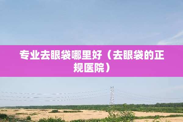 专业去眼袋哪里好（去眼袋的正规医院）