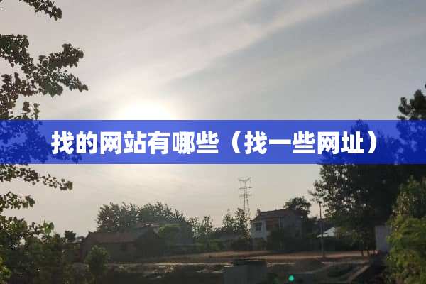 找的网站有哪些（找一些网址）