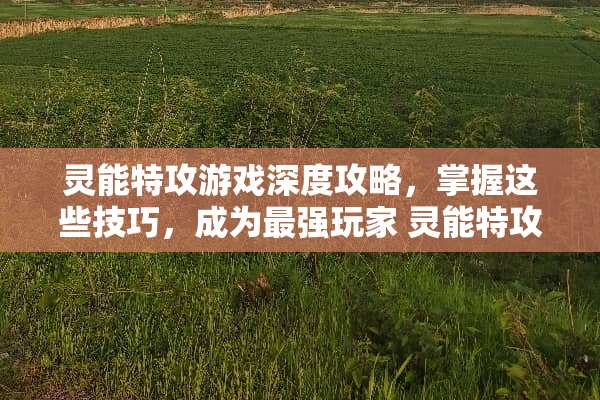 灵能特攻游戏深度攻略，掌握这些技巧，成为最强玩家 灵能特攻游戏攻略
