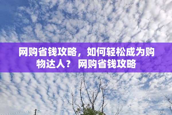 网购省钱攻略，如何轻松成为购物达人？ 网购省钱攻略