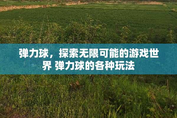 弹力球，探索无限可能的游戏世界 弹力球的各种玩法