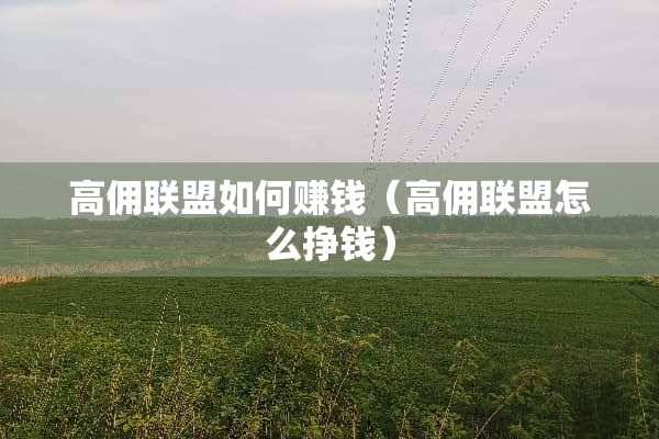 高佣联盟如何赚钱（高佣联盟怎么挣钱）