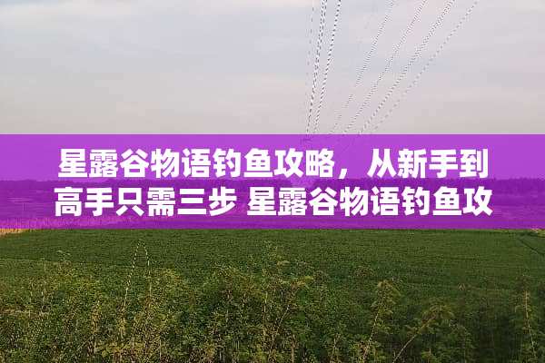 星露谷物语钓鱼攻略，从新手到高手只需三步 星露谷物语钓鱼攻略
