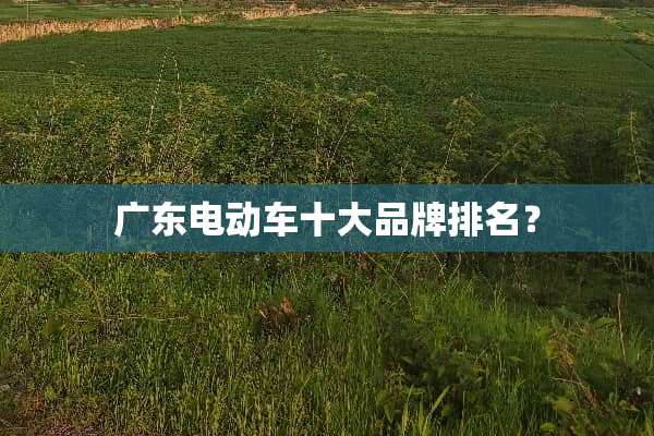 广东电动车十大品牌排名？