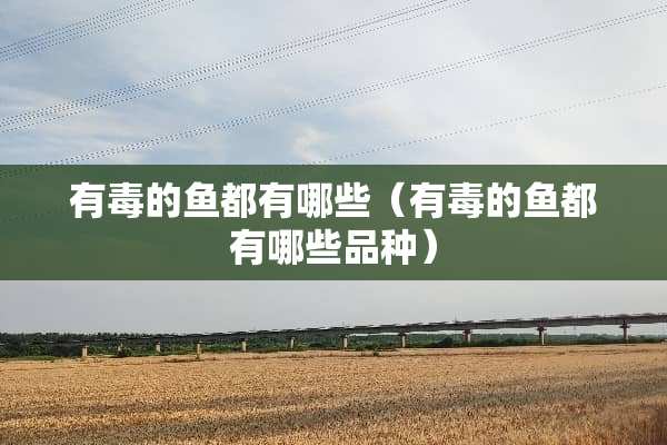 有毒的鱼都有哪些（有毒的鱼都有哪些品种）