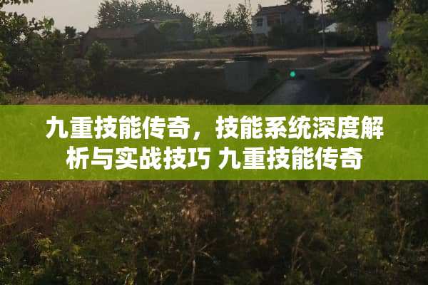 九重技能传奇，技能系统深度解析与实战技巧 九重技能传奇