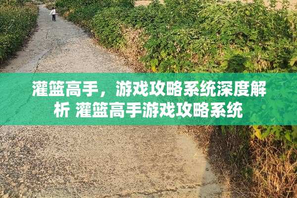 灌篮高手，游戏攻略系统深度解析 灌篮高手游戏攻略系统