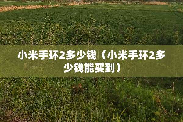 小米手环2多少钱（小米手环2多少钱能买到）