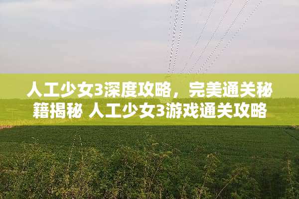 人工少女3深度攻略，完美通关秘籍揭秘 人工少女3游戏通关攻略