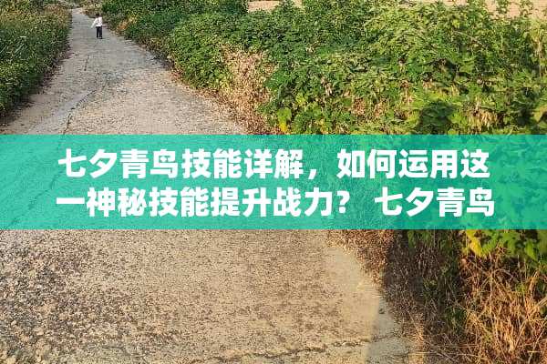 七夕青鸟技能详解，如何运用这一神秘技能提升战力？ 七夕青鸟技能