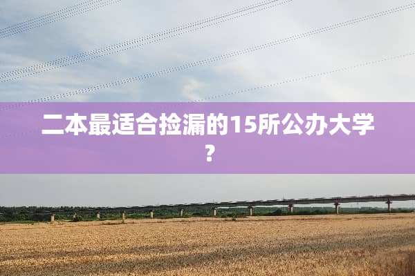 二本最适合捡漏的15所公办大学？