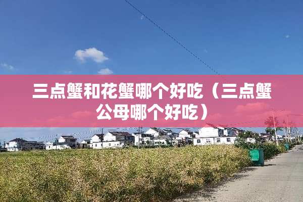 三点蟹和花蟹哪个好吃（三点蟹公母哪个好吃）