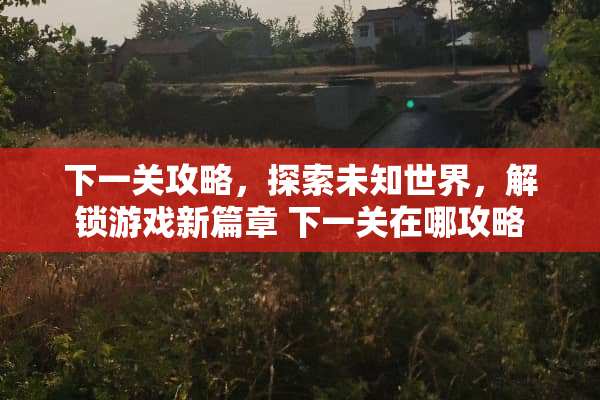 下一关攻略，探索未知世界，解锁游戏新篇章 下一关在哪攻略