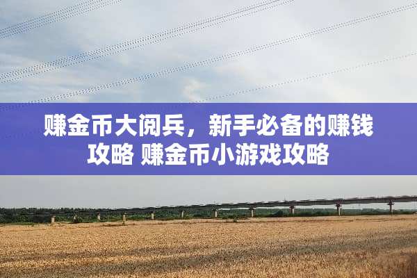 赚金币大阅兵，新手必备的赚钱攻略 赚金币小游戏攻略