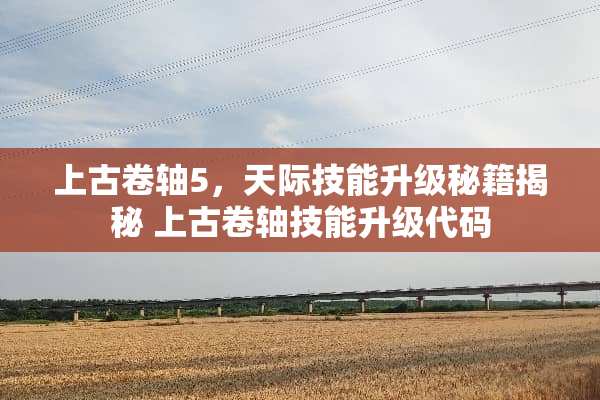 上古卷轴5，天际技能升级秘籍揭秘 上古卷轴技能升级代码