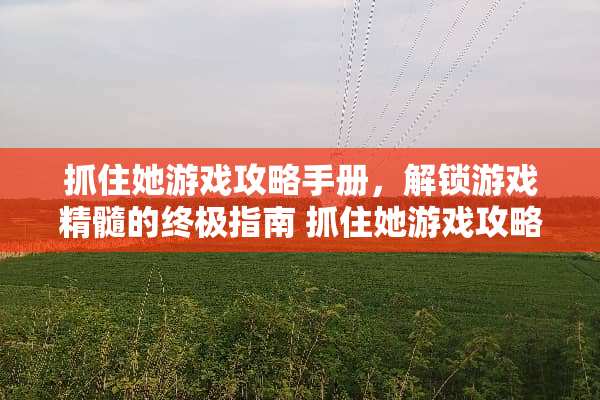 抓住她游戏攻略手册，解锁游戏精髓的终极指南 抓住她游戏攻略手册