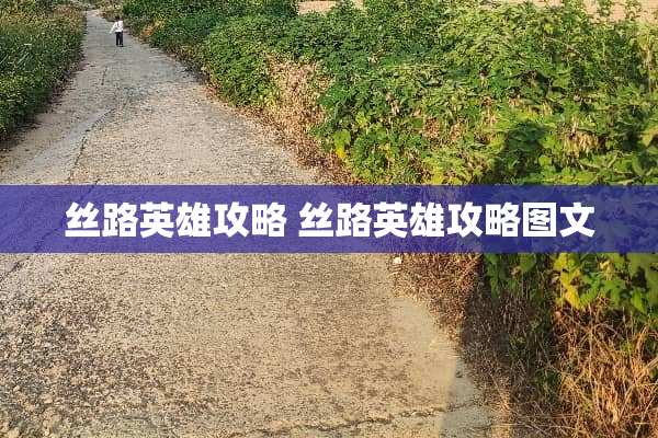 丝路英雄攻略 丝路英雄攻略图文