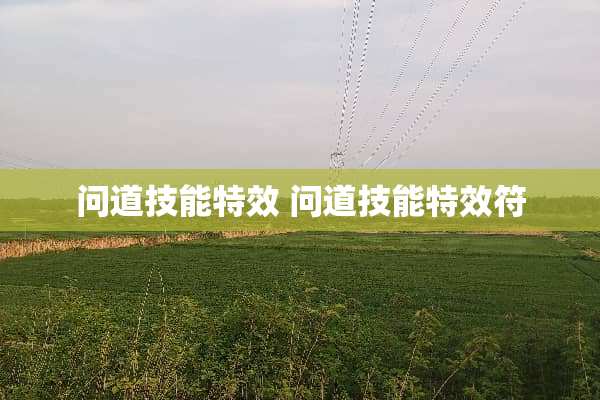 问道技能特效 问道技能特效符