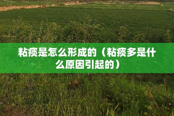 粘痰是怎么形成的（粘痰多是什么原因引起的）