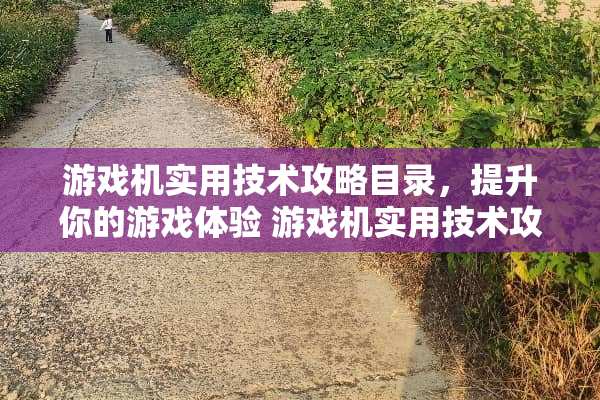 游戏机实用技术攻略目录，提升你的游戏体验 游戏机实用技术攻略目录
