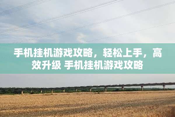 手机挂机游戏攻略，轻松上手，高效升级 手机挂机游戏攻略