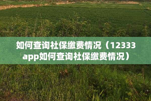 如何查询社保缴费情况（12333app如何查询社保缴费情况）