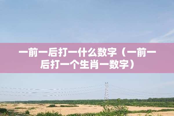 一前一后打一什么数字（一前一后打一个生肖一数字）