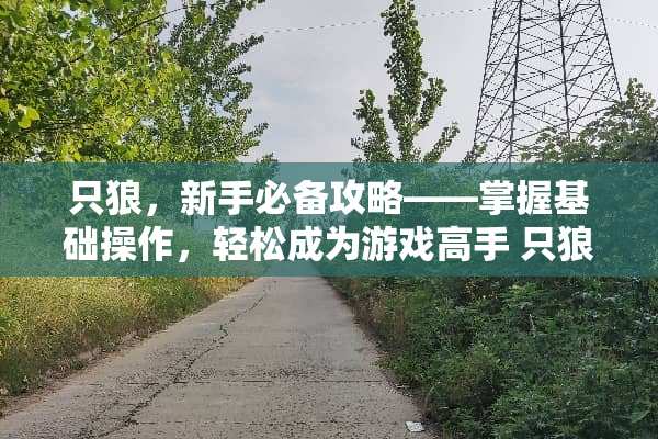 只狼，新手必备攻略——掌握基础操作，轻松成为游戏高手 只狼新手攻略