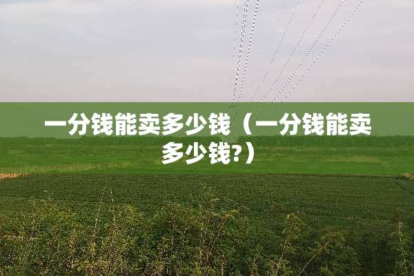 一分钱能卖多少钱（一分钱能卖多少钱?）