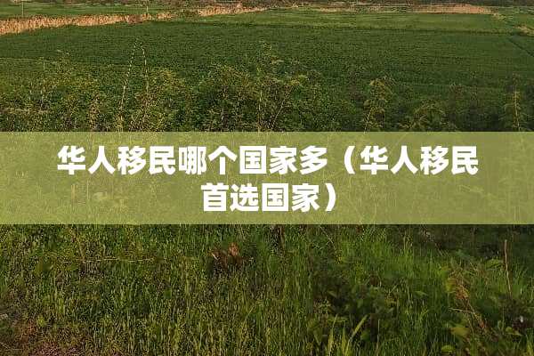 华人移民哪个国家多（华人移民首选国家）