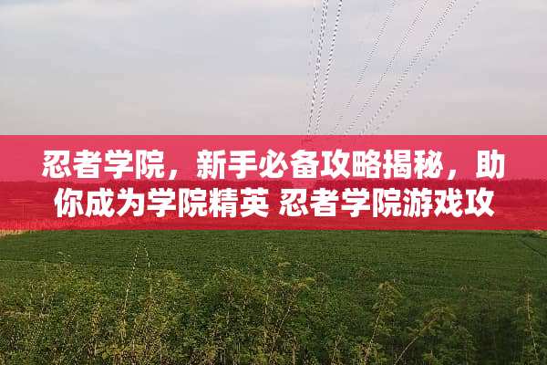 忍者学院，新手必备攻略揭秘，助你成为学院精英 忍者学院游戏攻略