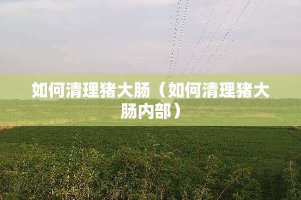 如何清理猪大肠（如何清理猪大肠内部）
