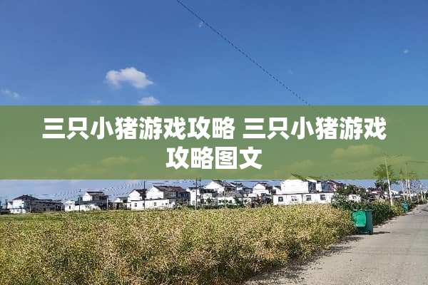 三只小猪游戏攻略 三只小猪游戏攻略图文