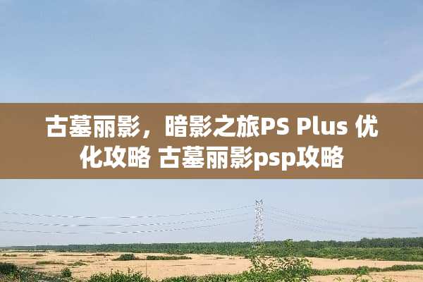 古墓丽影，暗影之旅PS Plus 优化攻略 古墓丽影psp攻略