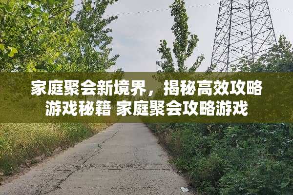 家庭聚会新境界，揭秘高效攻略游戏秘籍 家庭聚会攻略游戏