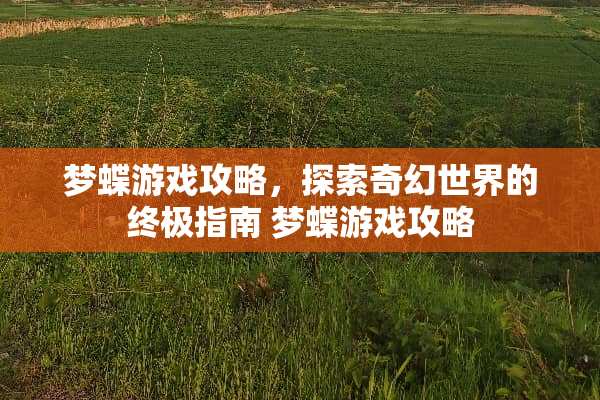 梦蝶游戏攻略，探索奇幻世界的终极指南 梦蝶游戏攻略
