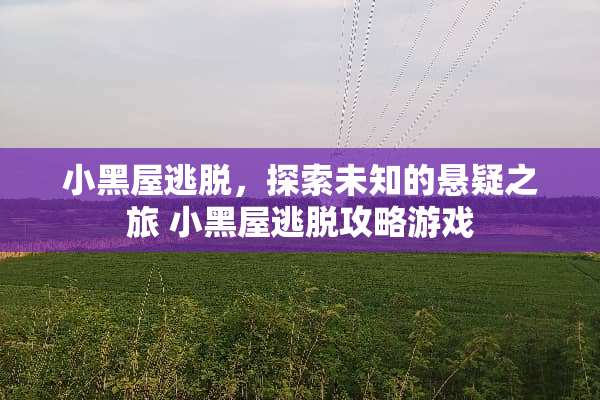 小黑屋逃脱，探索未知的悬疑之旅 小黑屋逃脱攻略游戏