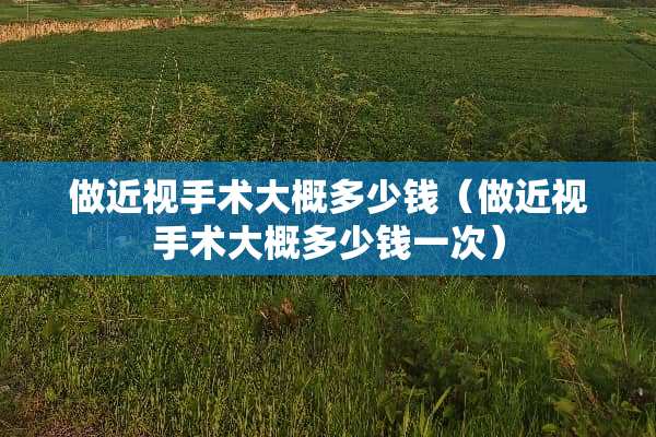 做近视手术大概多少钱（做近视手术大概多少钱一次）