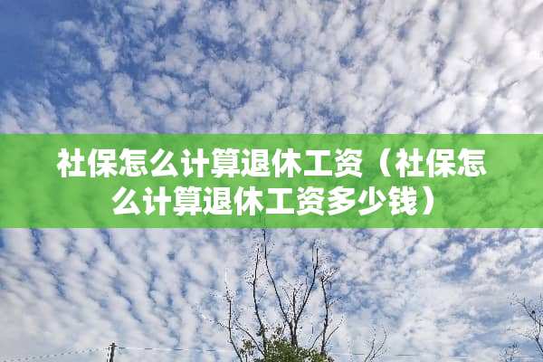 社保怎么计算退休工资（社保怎么计算退休工资多少钱）