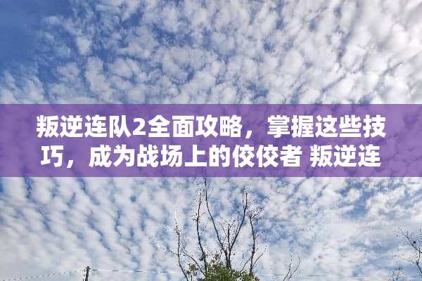 叛逆连队2全面攻略，掌握这些技巧，成为战场上的佼佼者 叛逆连队2攻略
