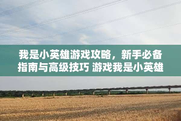 我是小英雄游戏攻略，新手必备指南与高级技巧 游戏我是小英雄攻略