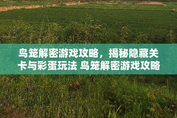 鸟笼解密游戏攻略，揭秘隐藏关卡与彩蛋玩法 鸟笼解密游戏攻略下载