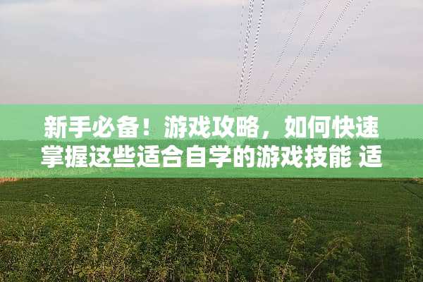 新手必备！游戏攻略，如何快速掌握这些适合自学的游戏技能 适合自学的技能